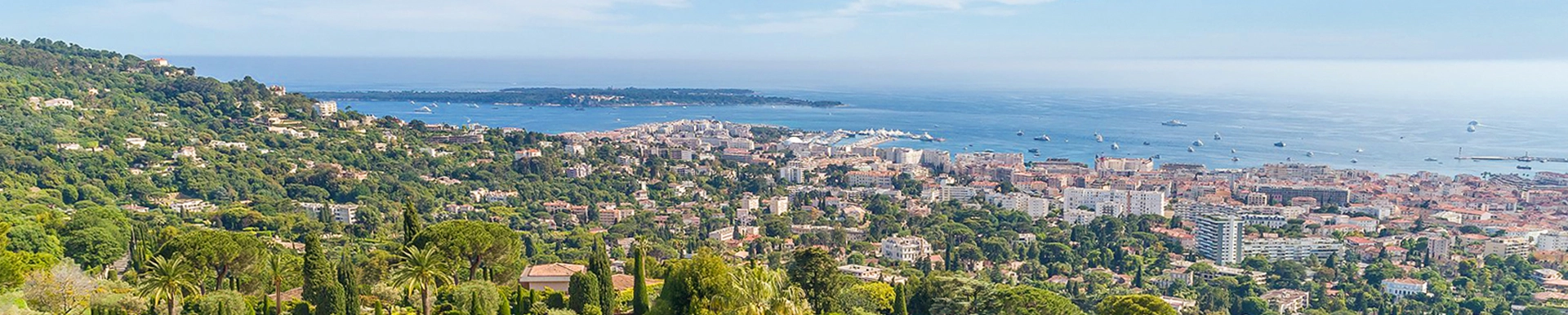 Agence Immobilière Michaël Zingraf Cannes Californie