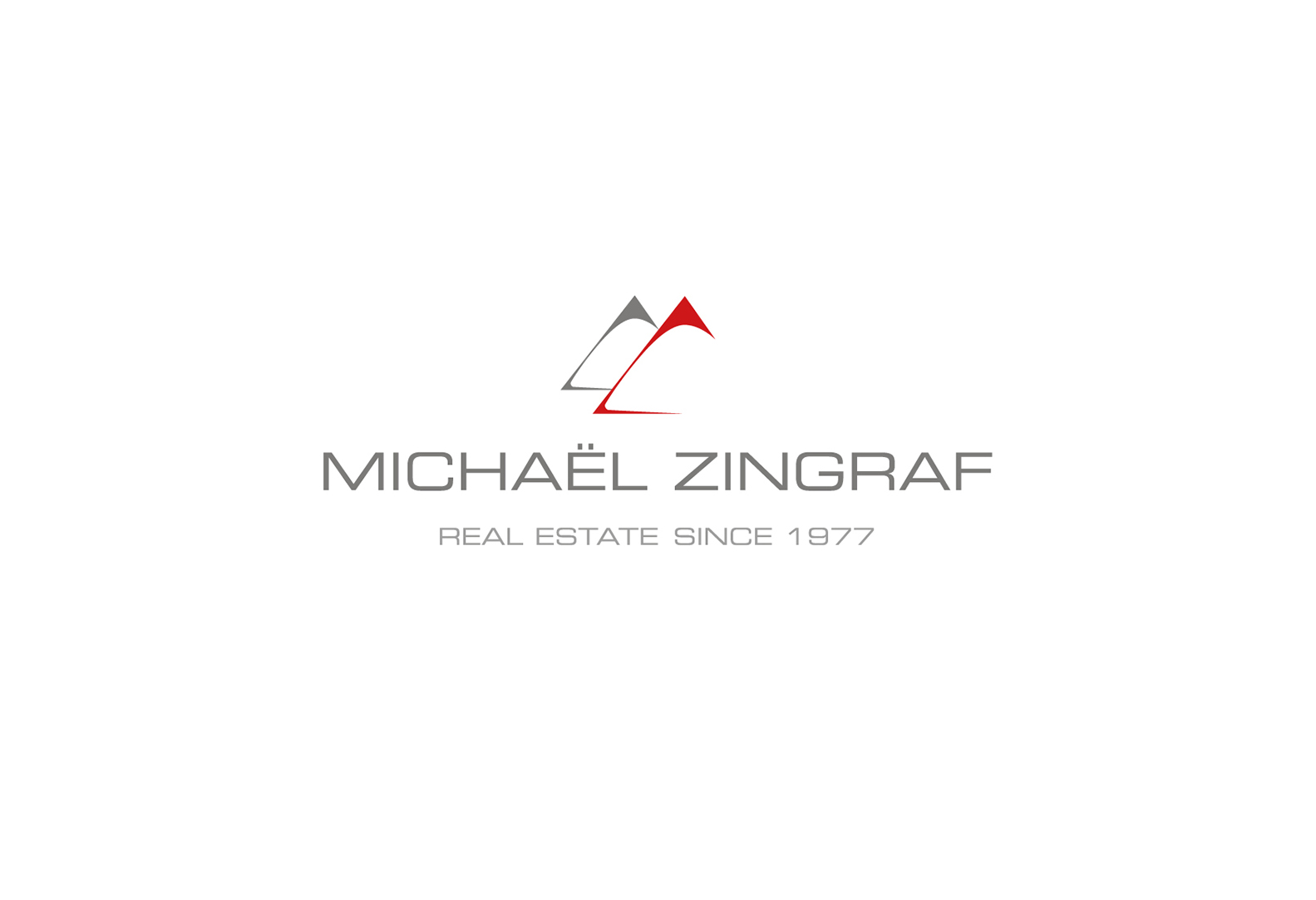 agence Michaël Zingraf Real Estate