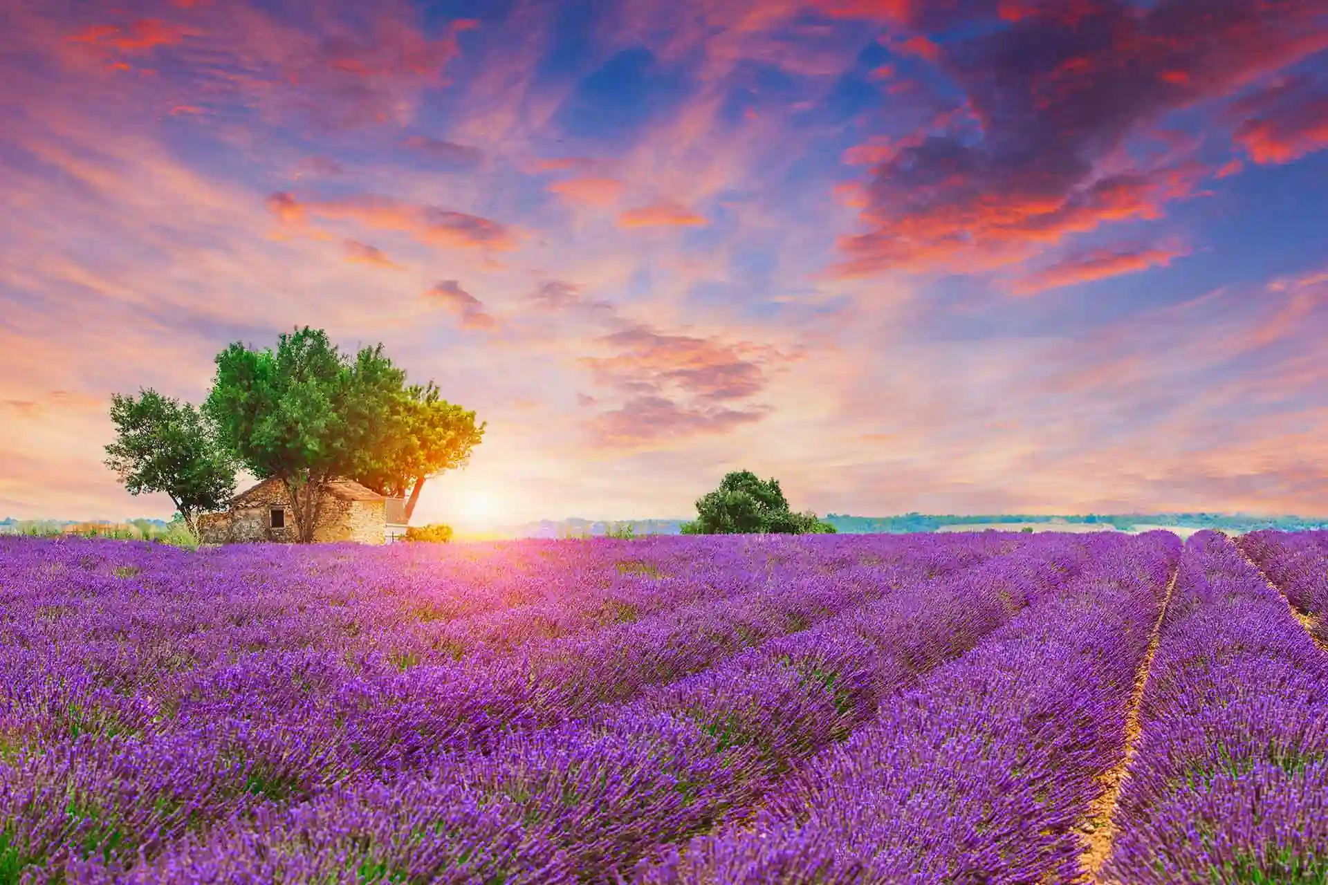 Achat immobilier dans la region Provence