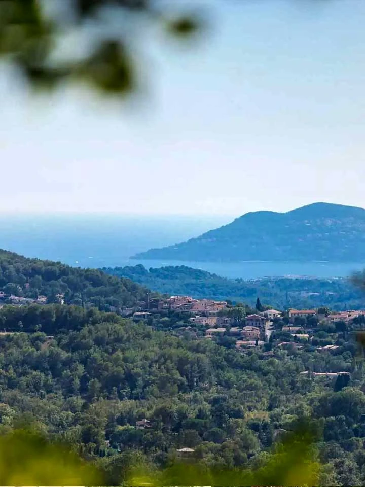 Luxury villas for Sale in Châteauneuf-Grasse