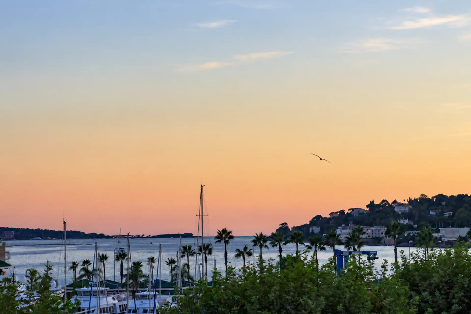 Villas & Propriétés à Vendre à Golfe-Juan