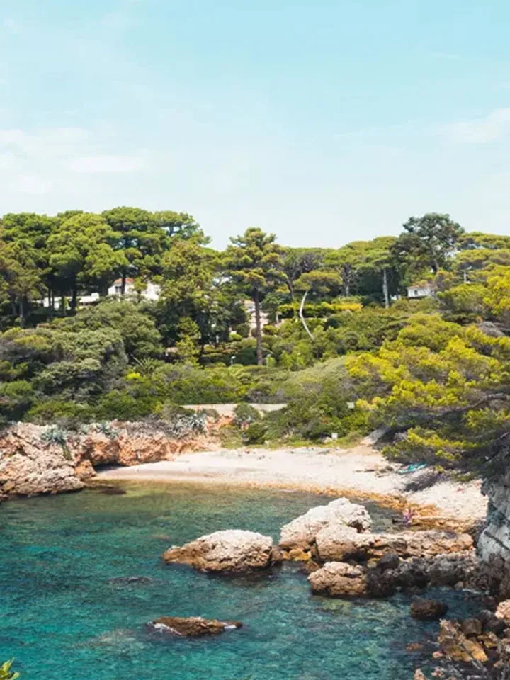 Achat immobilier dans la region Cap d'Antibes & Environs