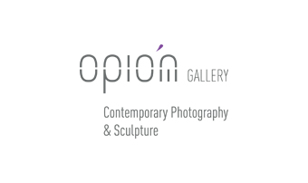 OPIOM GALLERY : Olivier Valsecchi à l'honneur à Opiom Gallery