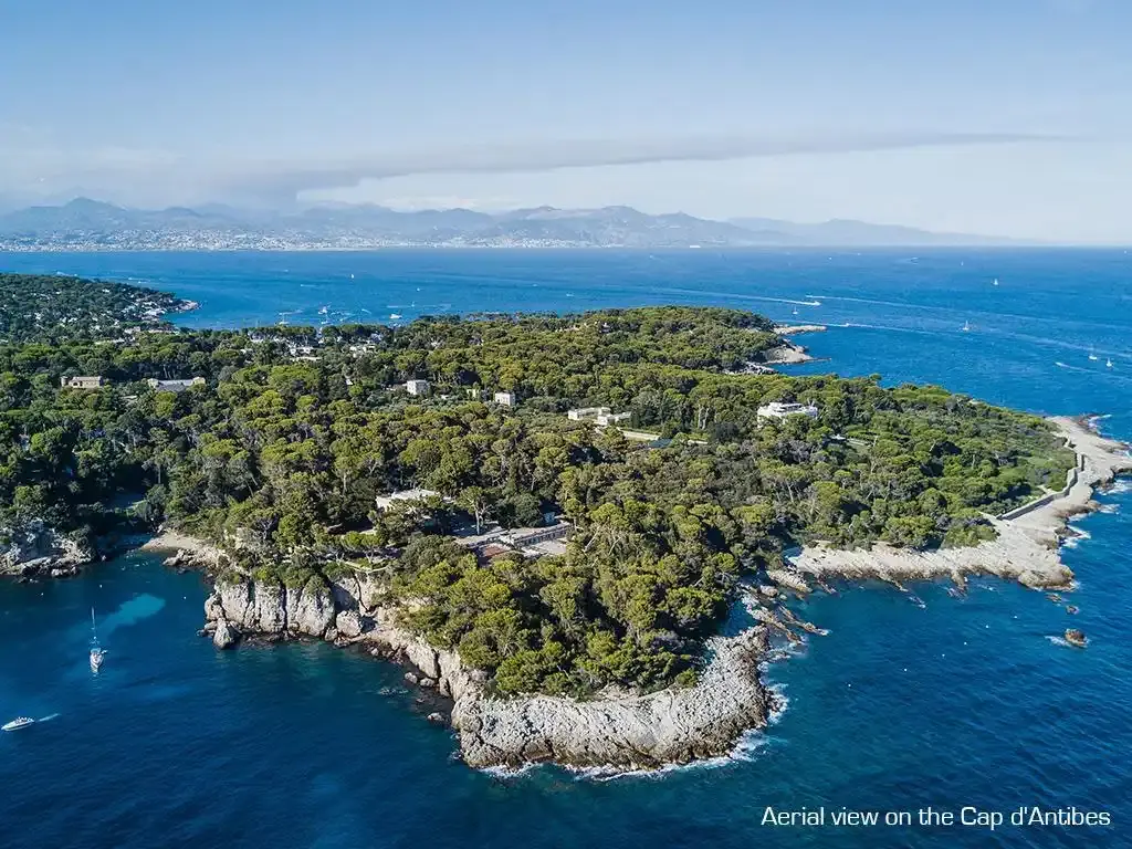 Das Leben der Küstenkaps der Côte d'Azur