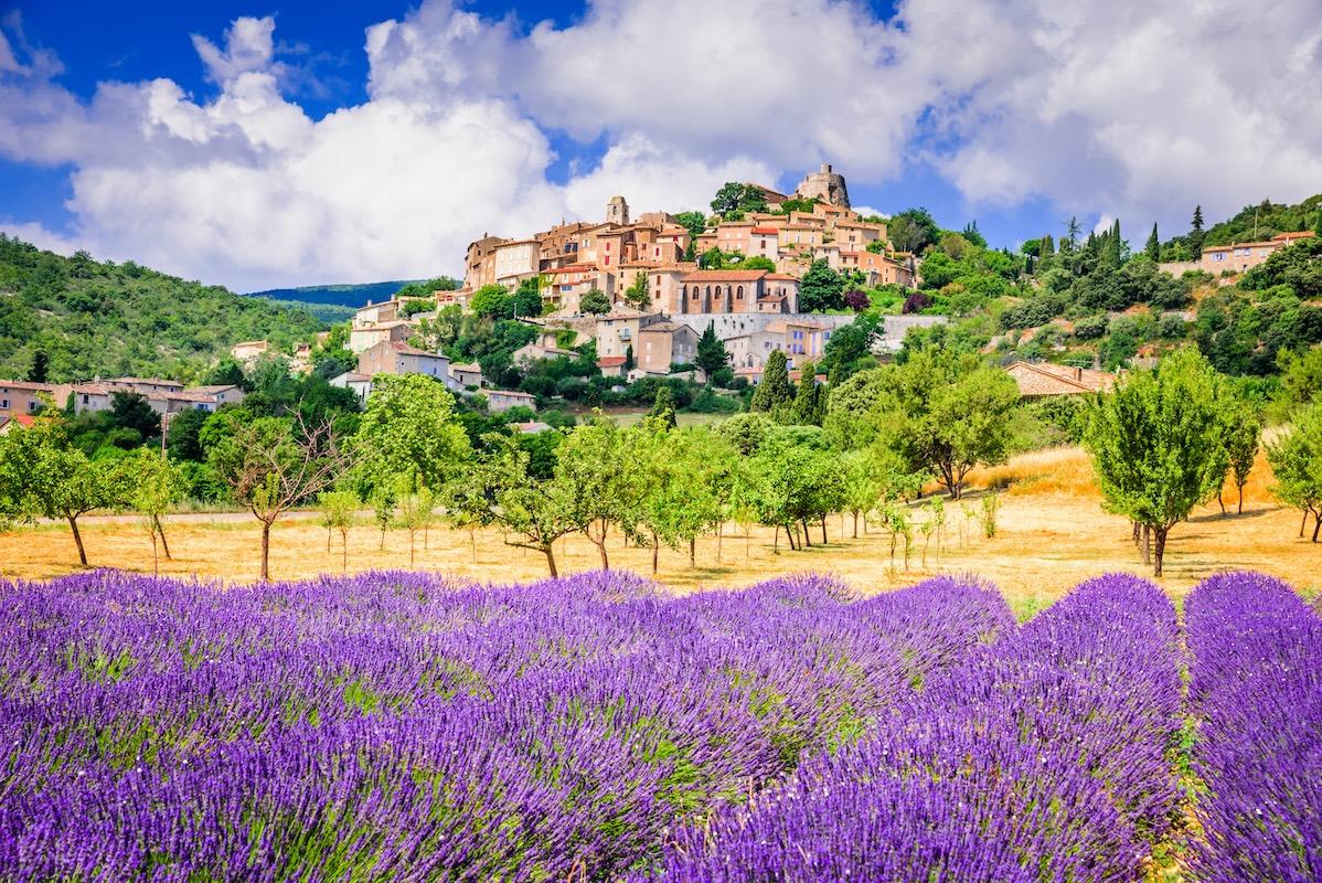 Location de villa en Provence : Alpilles ou Luberon ?