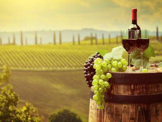 Comment reprendre un domaine viticole ?