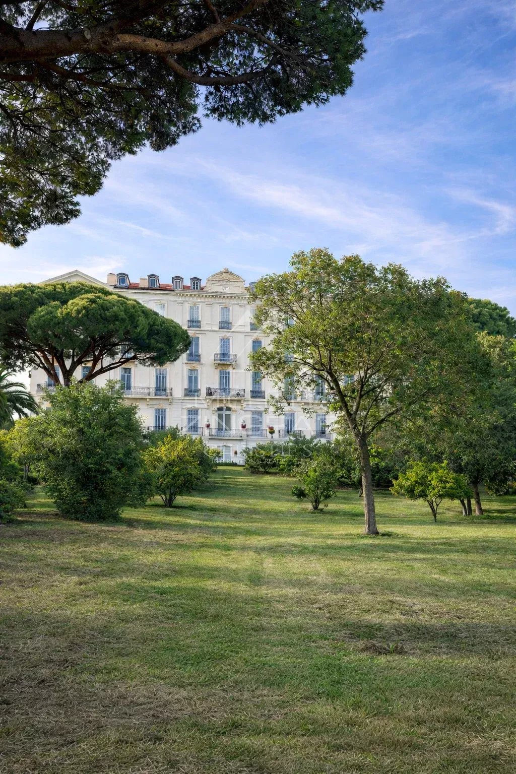 Cannes –Appartement Belle Époque - 3 chambres