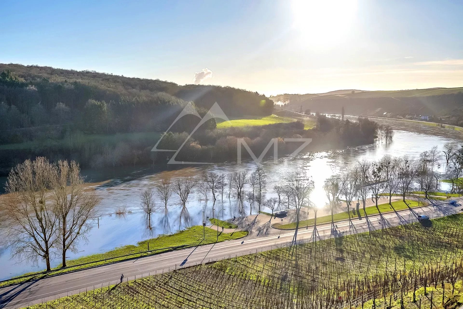 Astonishing Mansion with view on the Moselle