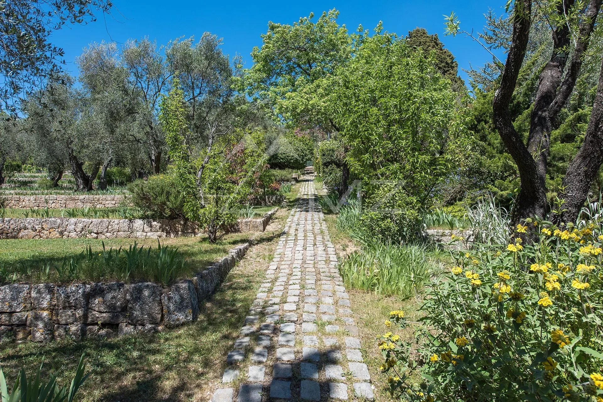 Cannes backcountry - Remarkable gardens