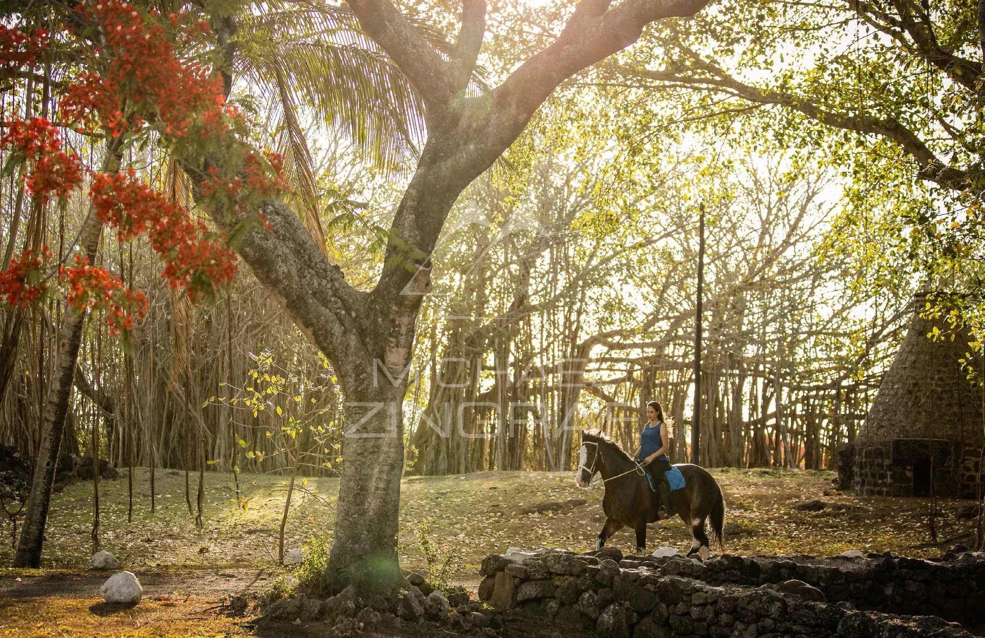 Ile Maurice - Mont Choisy - Penthouse 3 chambres avec vue panoramique
