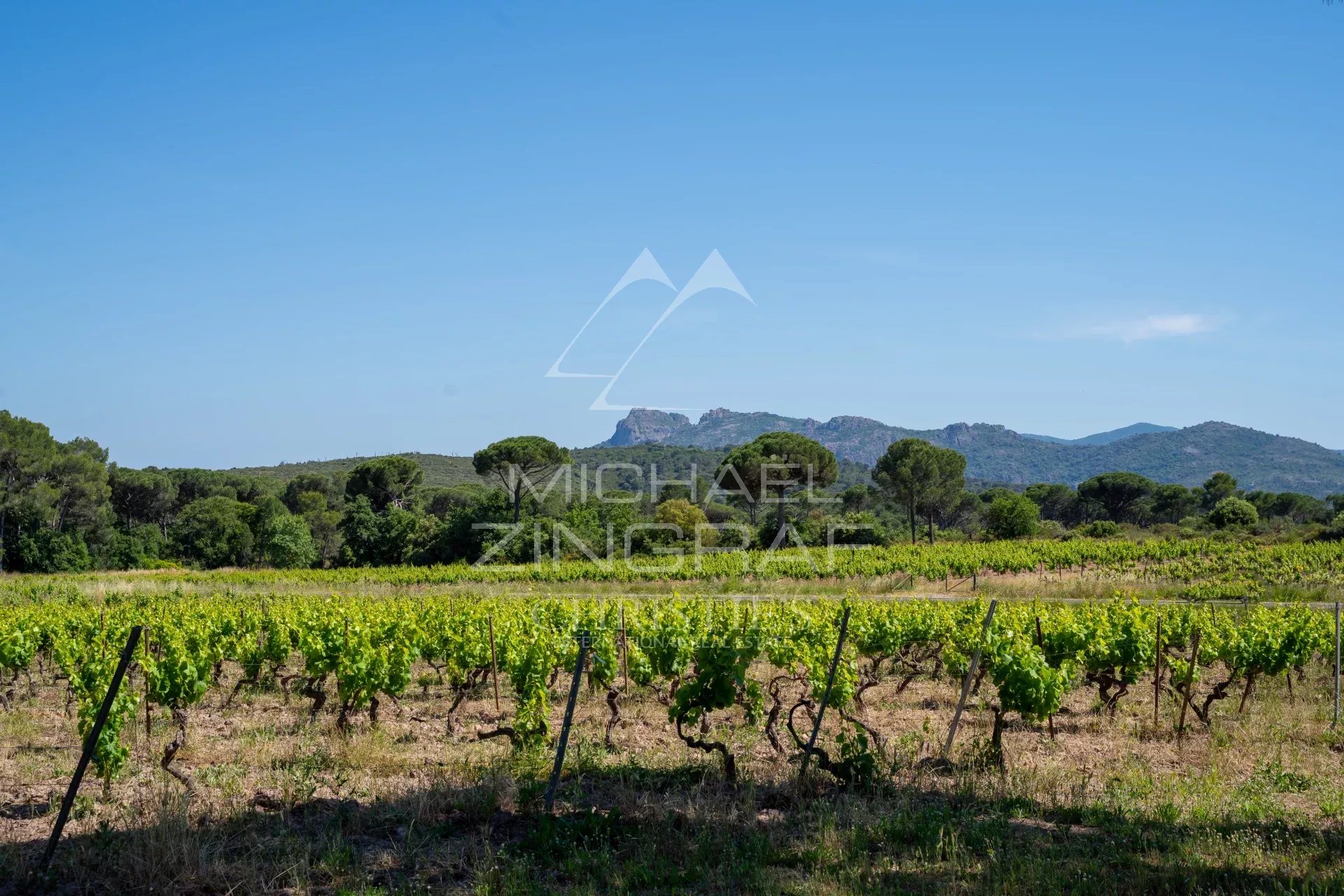 VALLÉE D'ESCLANS- EXPLOITATION VITI_VINICOLE