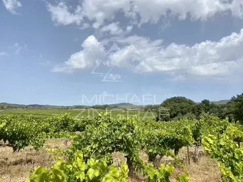 EXCEPTIONAL VINEYARD ESTATE IN THE LUBERON