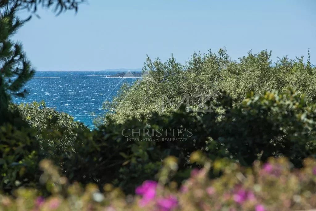 Cap d'Antibes - Sehr schönes Anwesen