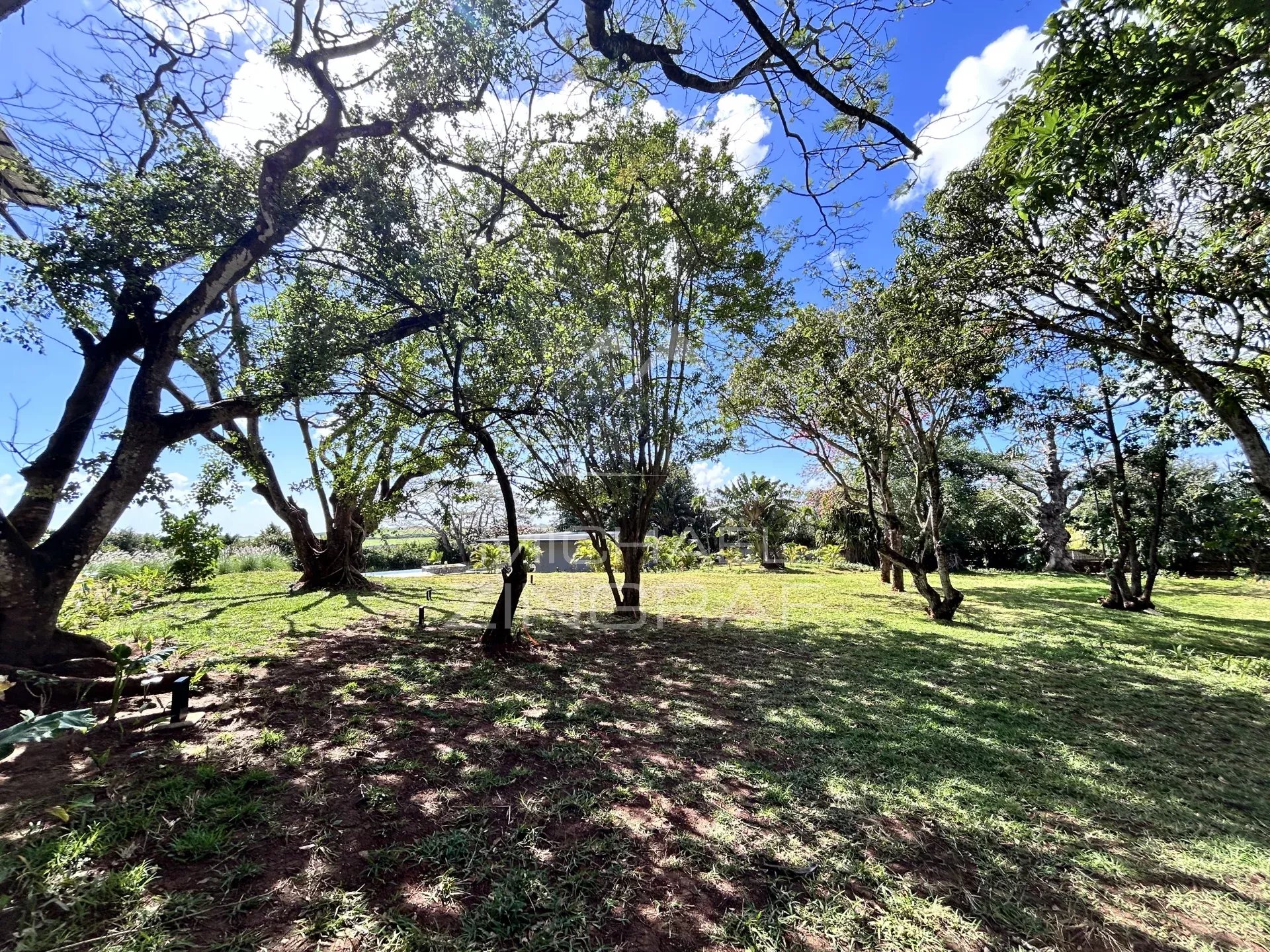 4 bedroom Apartment in Belle Vue