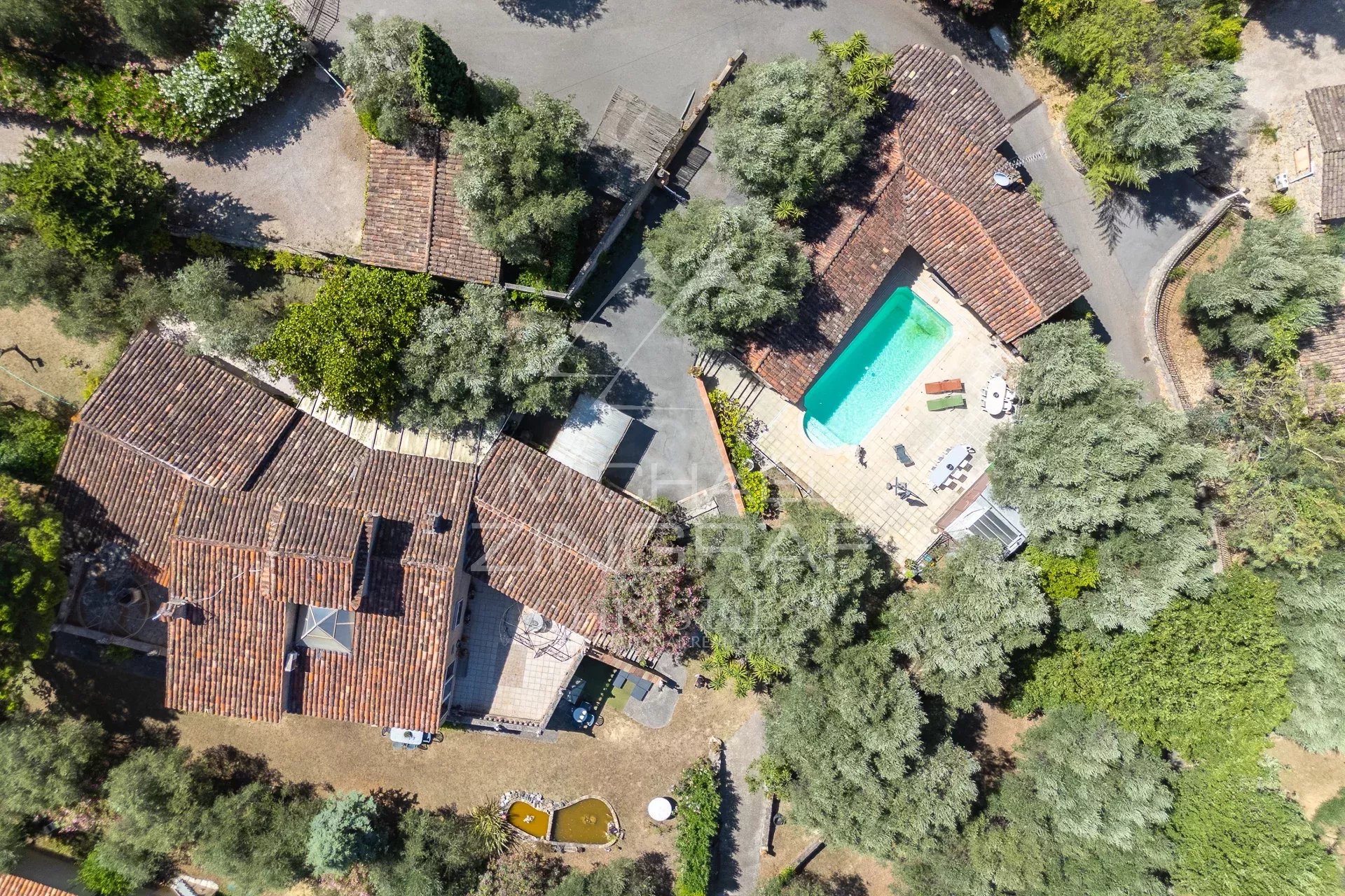 Property of two houses with dominant views and olive grove