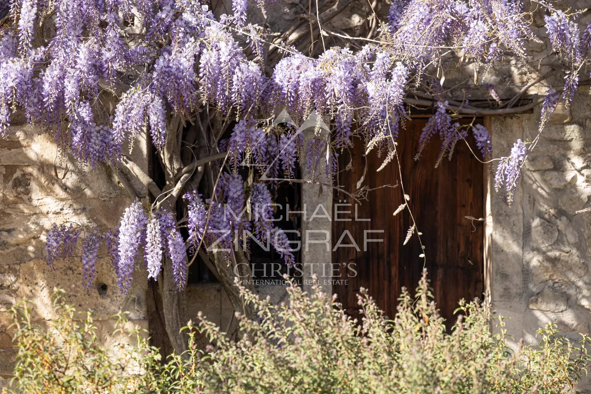 Mas provençal en pierre entouré d'oliviers