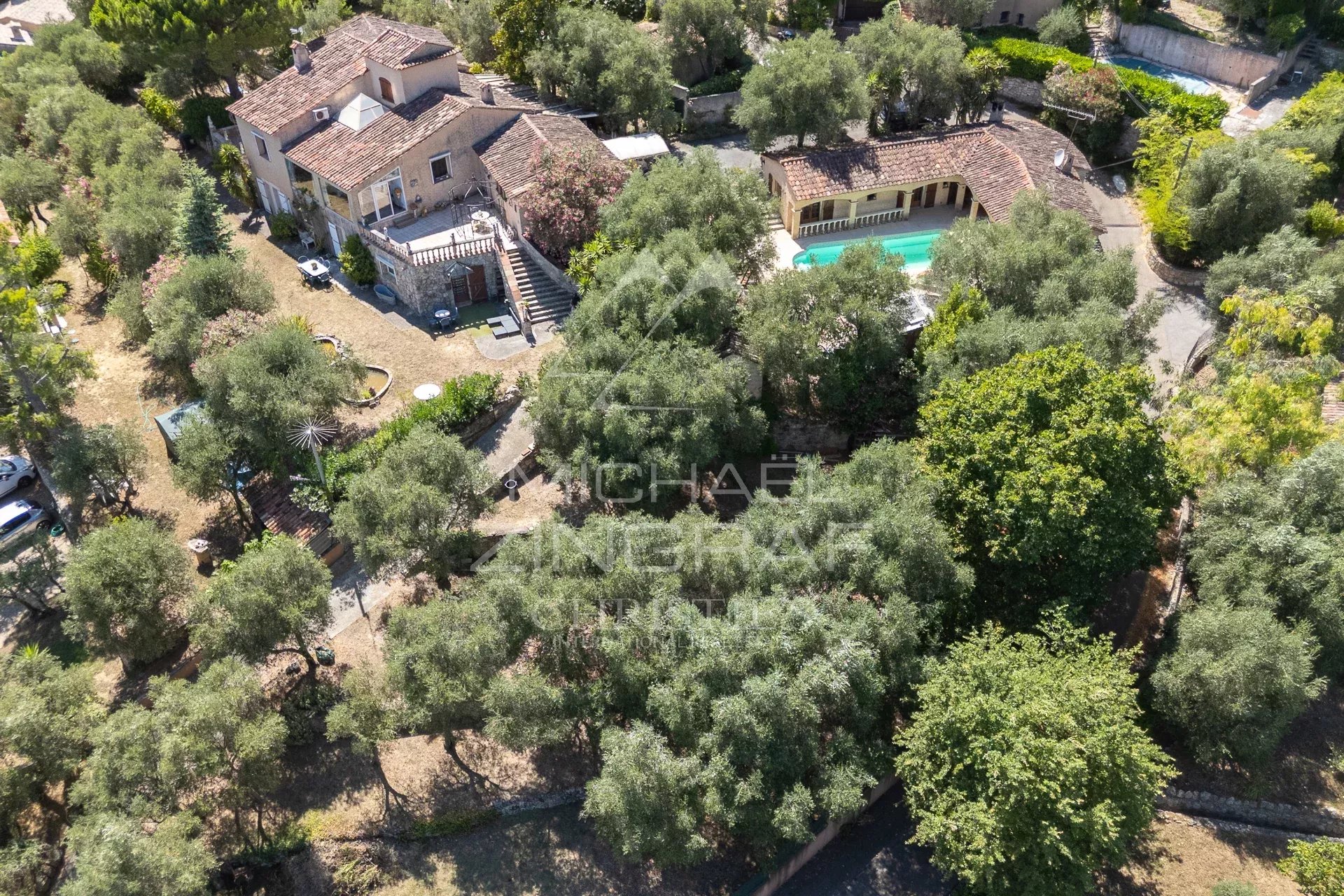 Property of two houses with dominant views and olive grove