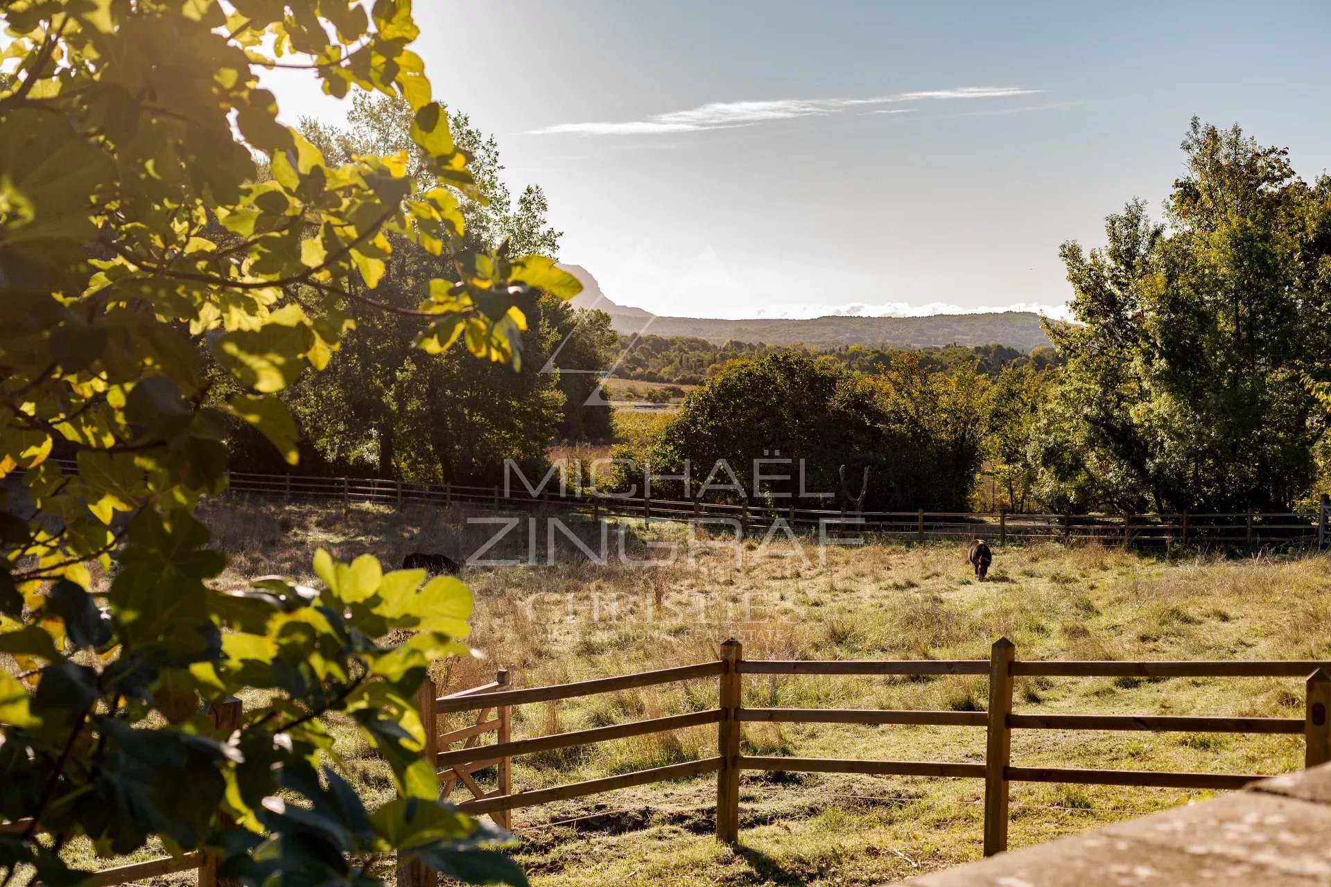 black chair and white table