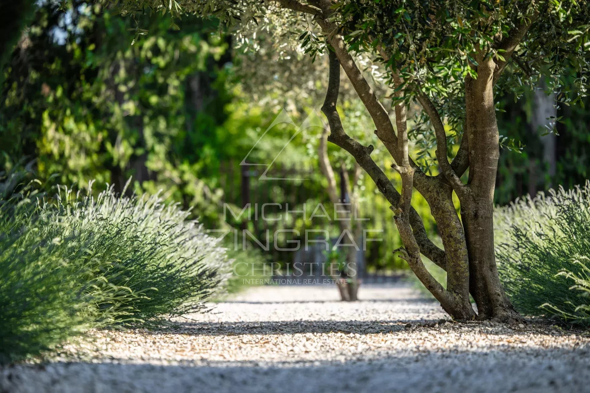Exclusive : An exceptional 18th-century country house on the outskirts of L’Isle-sur-la-Sorgue, set on 6.3 hectares of grounds and featuring a prestigious reception hall