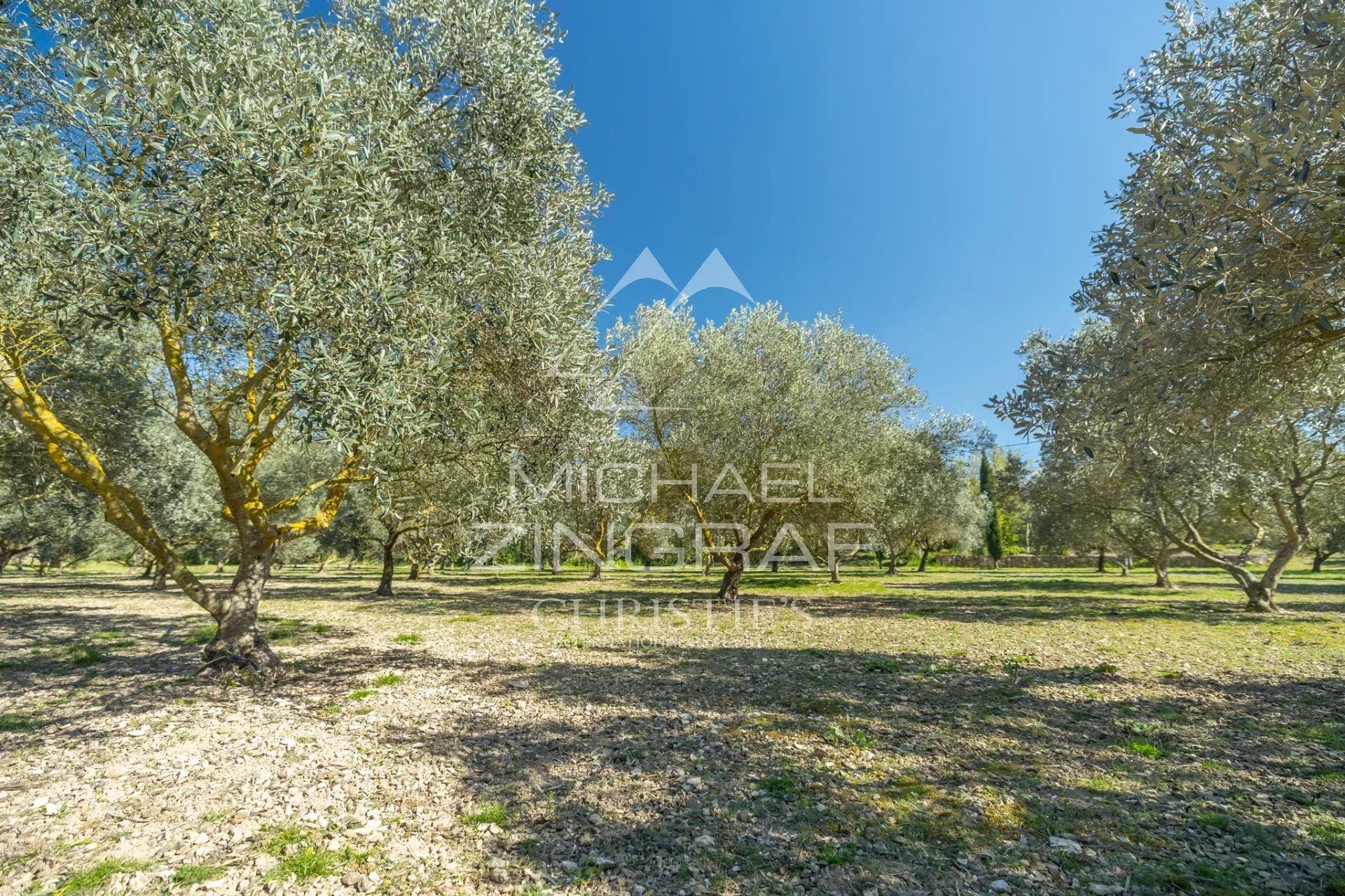 Mas provençal en pierre entouré d'oliviers