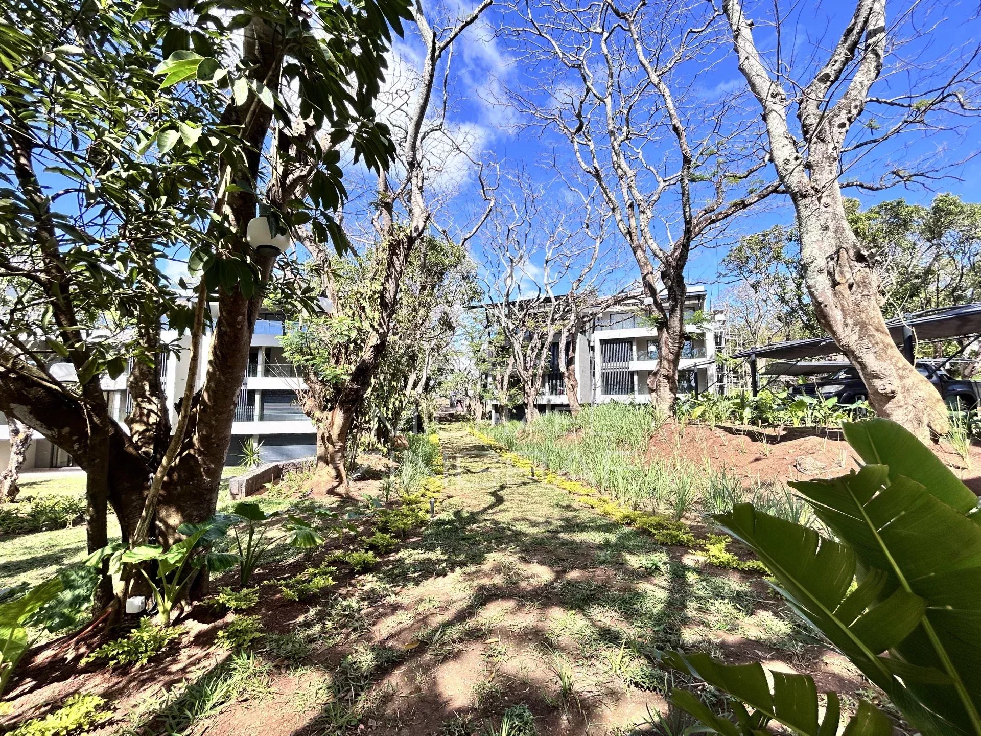 4 bedroom Apartment in Belle Vue