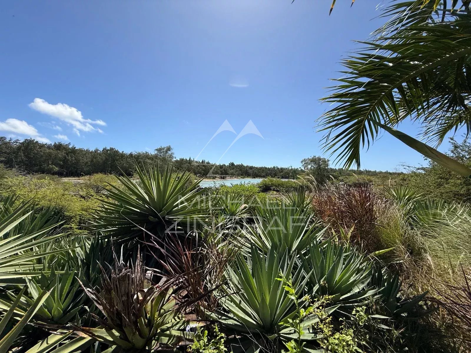 Villa d’Exception au Bord d’un Barachois à Calodyne