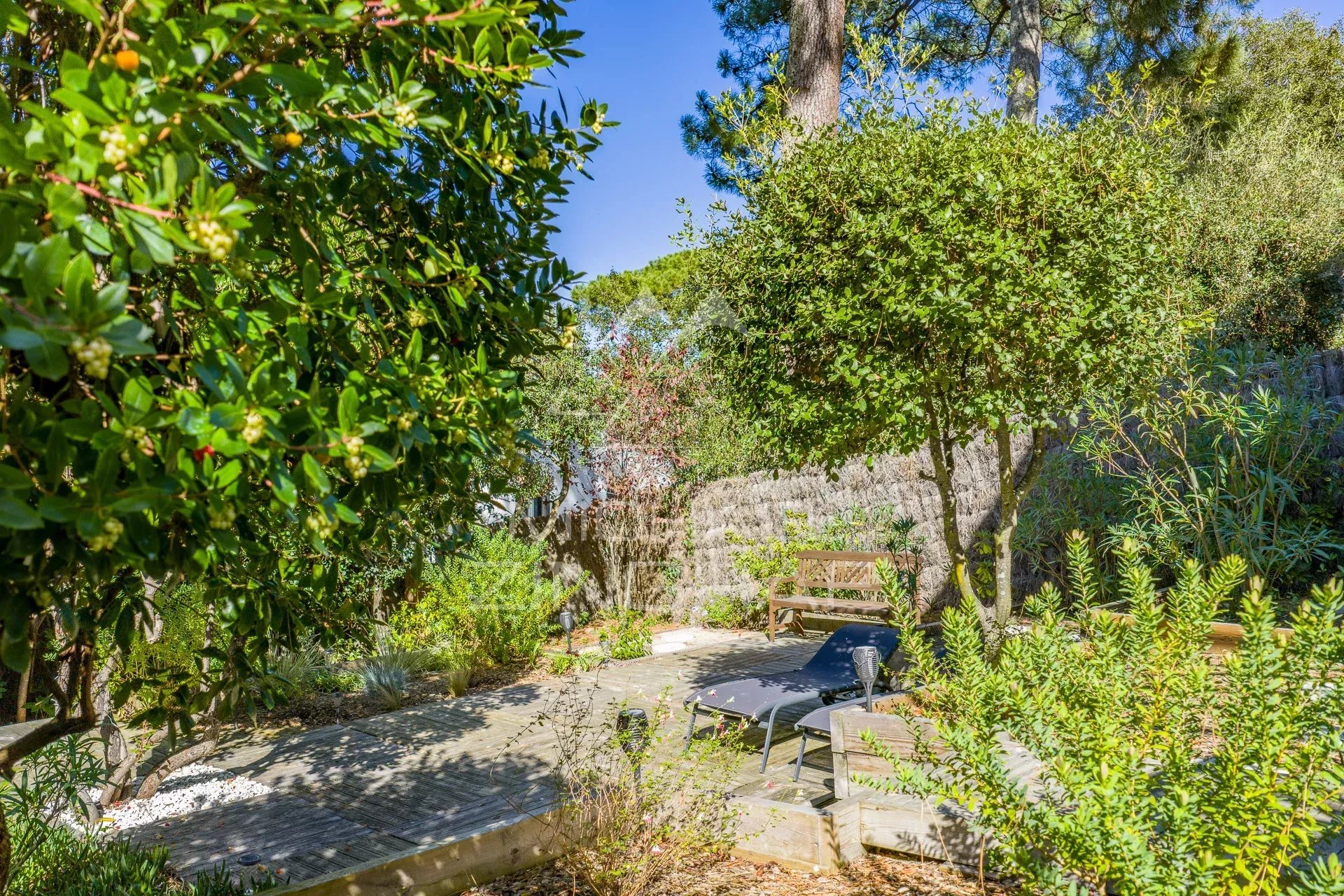 Quartier du Cercle de Voile : le charme du Bassin à vos pieds
