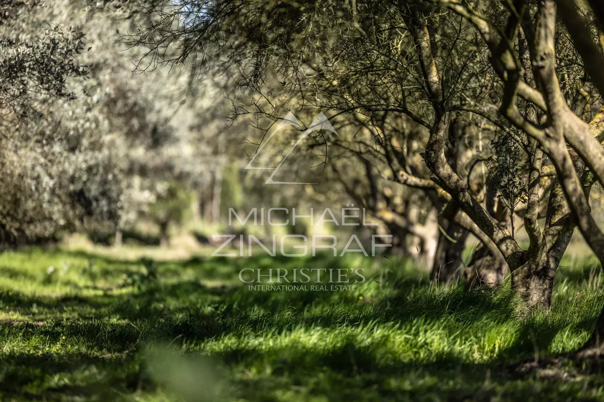 Mas provençal en pierre entouré d'oliviers