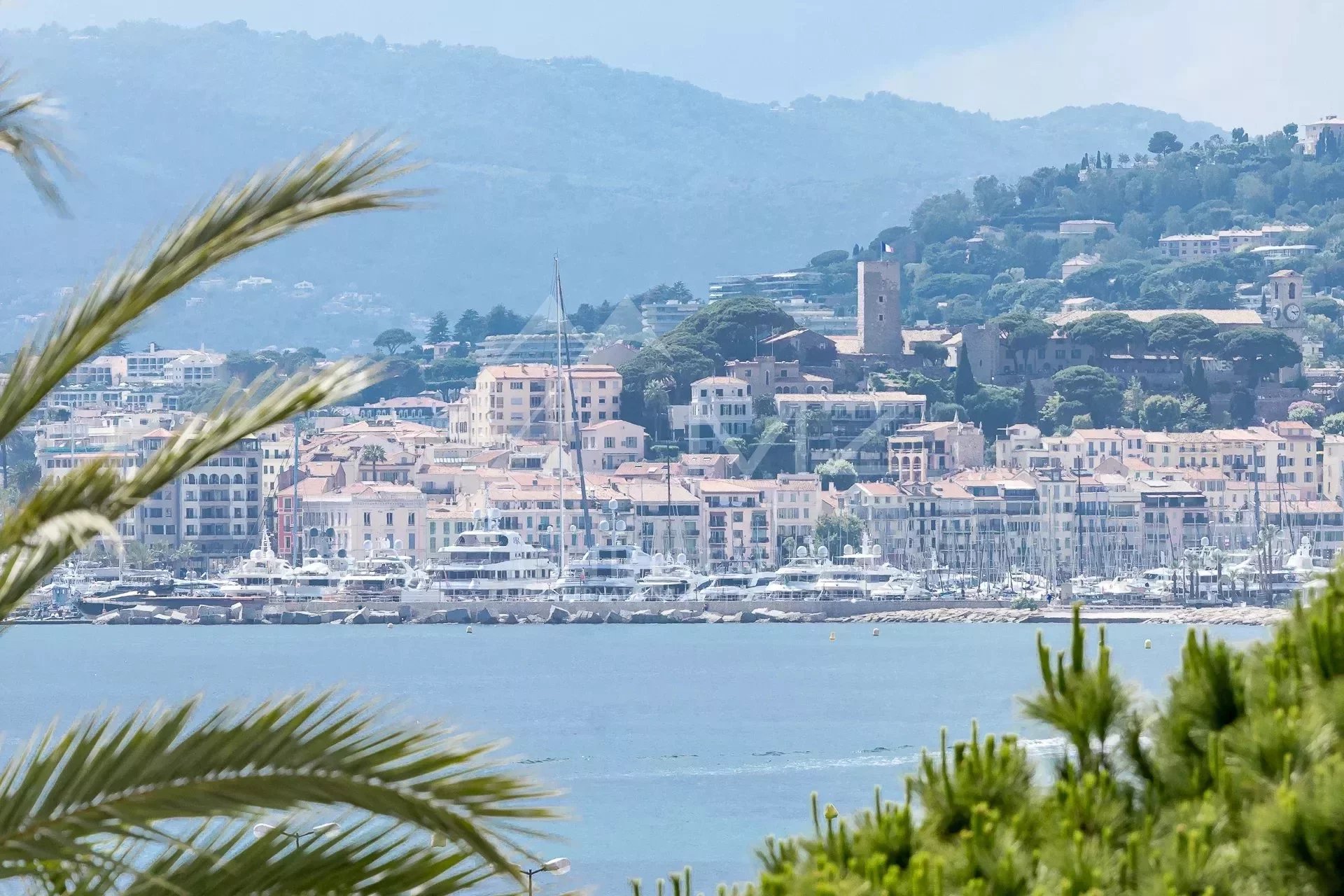 Cannes Croisette - Palm Beach - 3 pièces vue mer