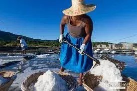 Mauritius - Villa zwischen Meer und Bergen - Black River