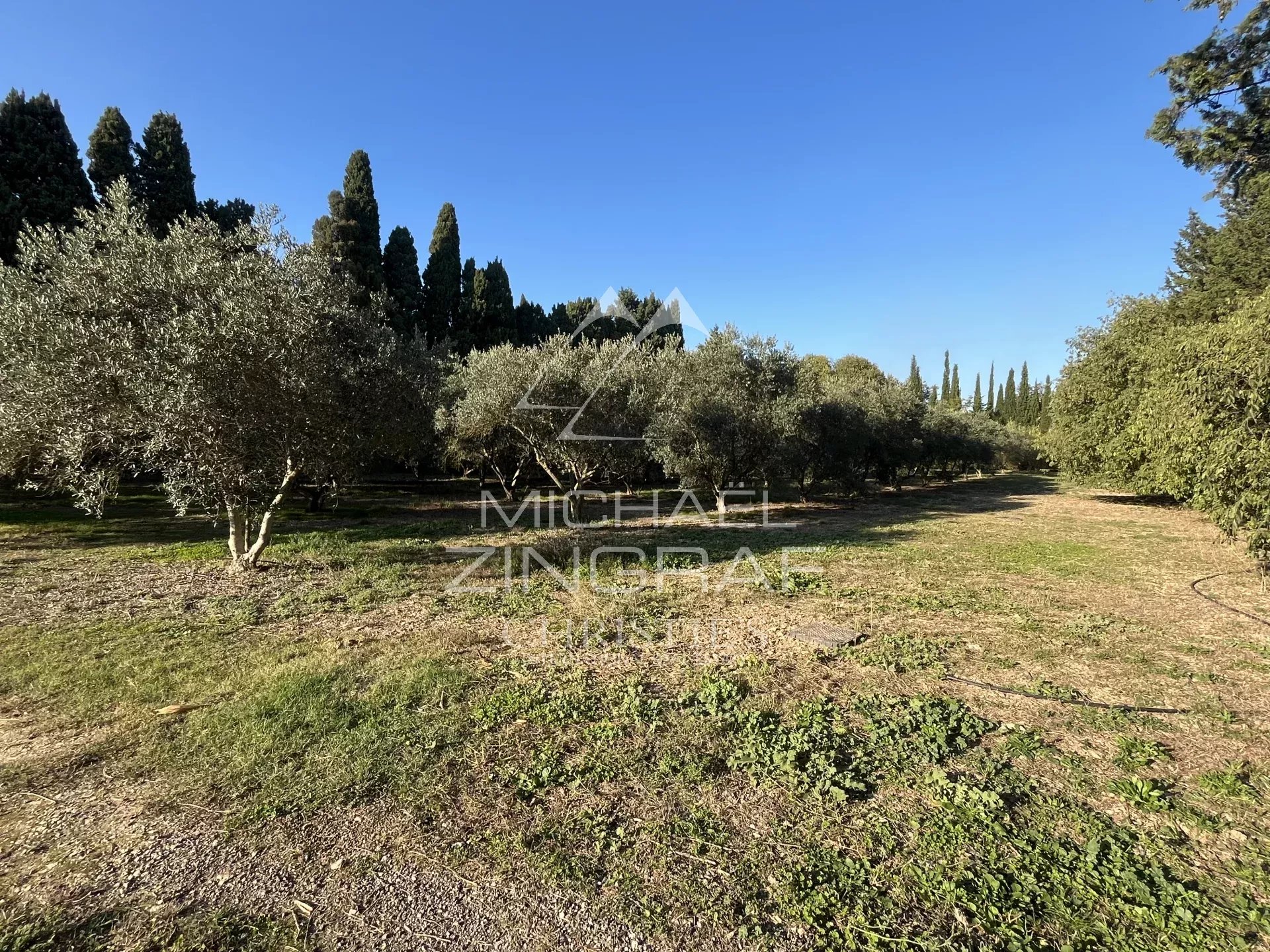 Mas provençal rénové à Saint Rémy de Provence