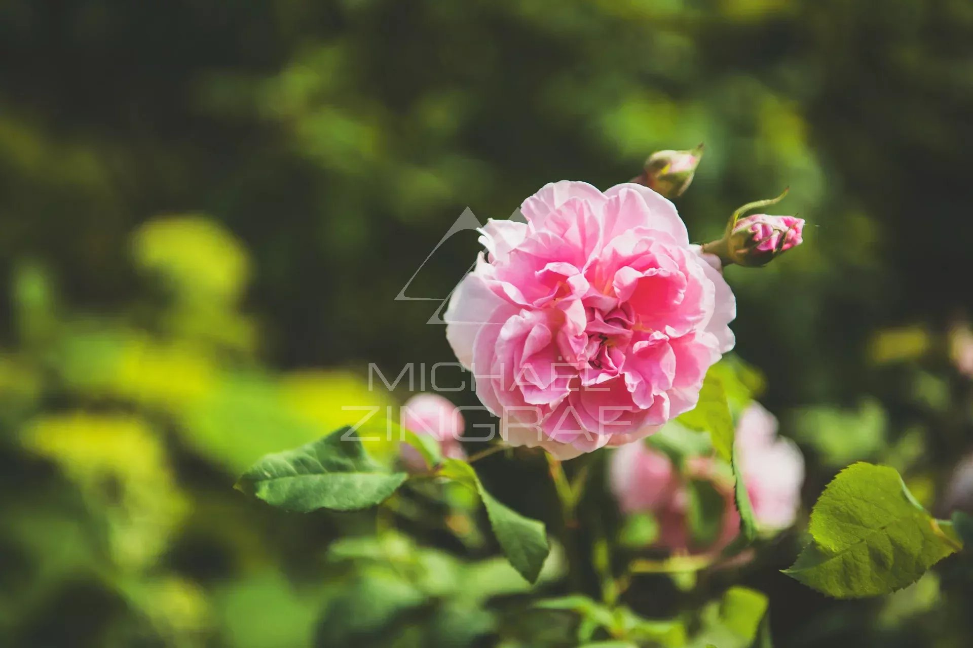 Außergewöhnliches Anwesen im grünen Périgord