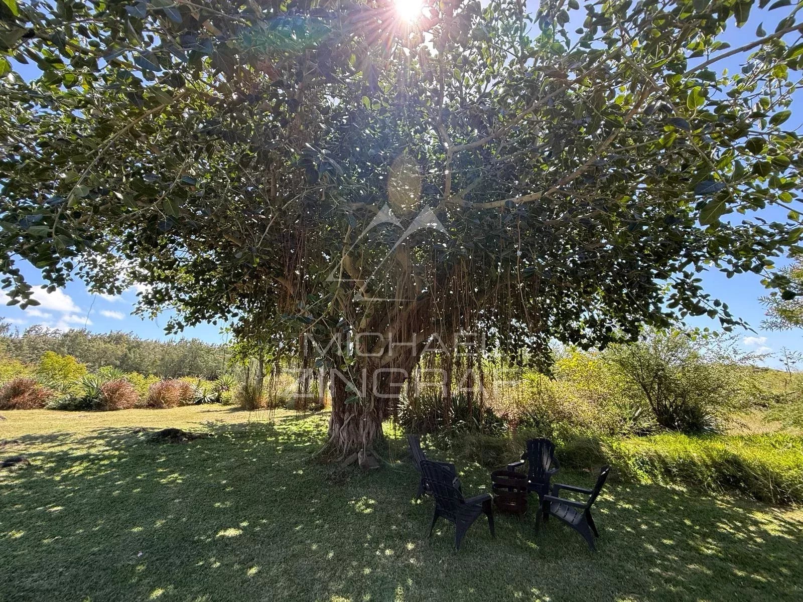 Villa d’Exception au Bord d’un Barachois à Calodyne