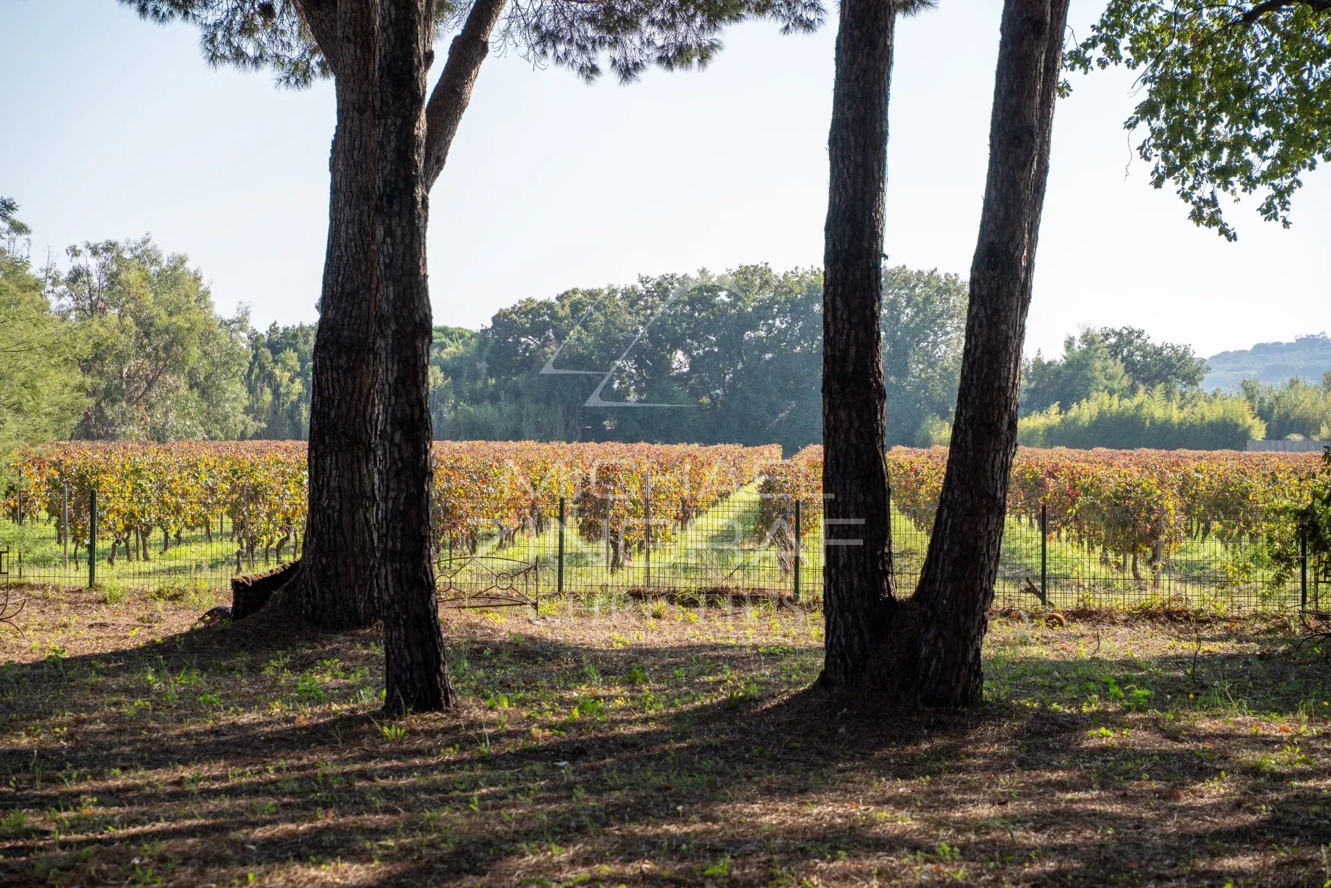 Ramatuelle – Charming Villa in the Heart of an Exceptional Location