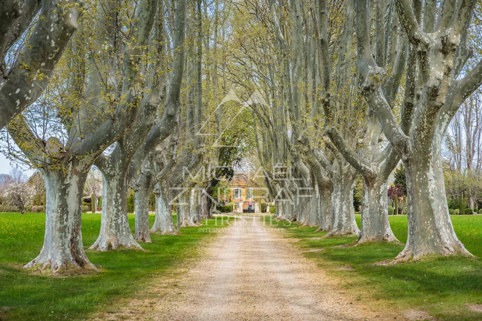 Somptueuse propriété entre Alpilles et Camargue