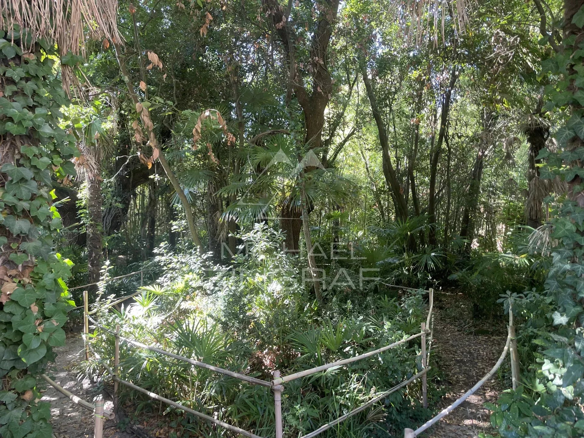 Maison Emblématique à rénover dans le quartier prisé de la ville de Printemps