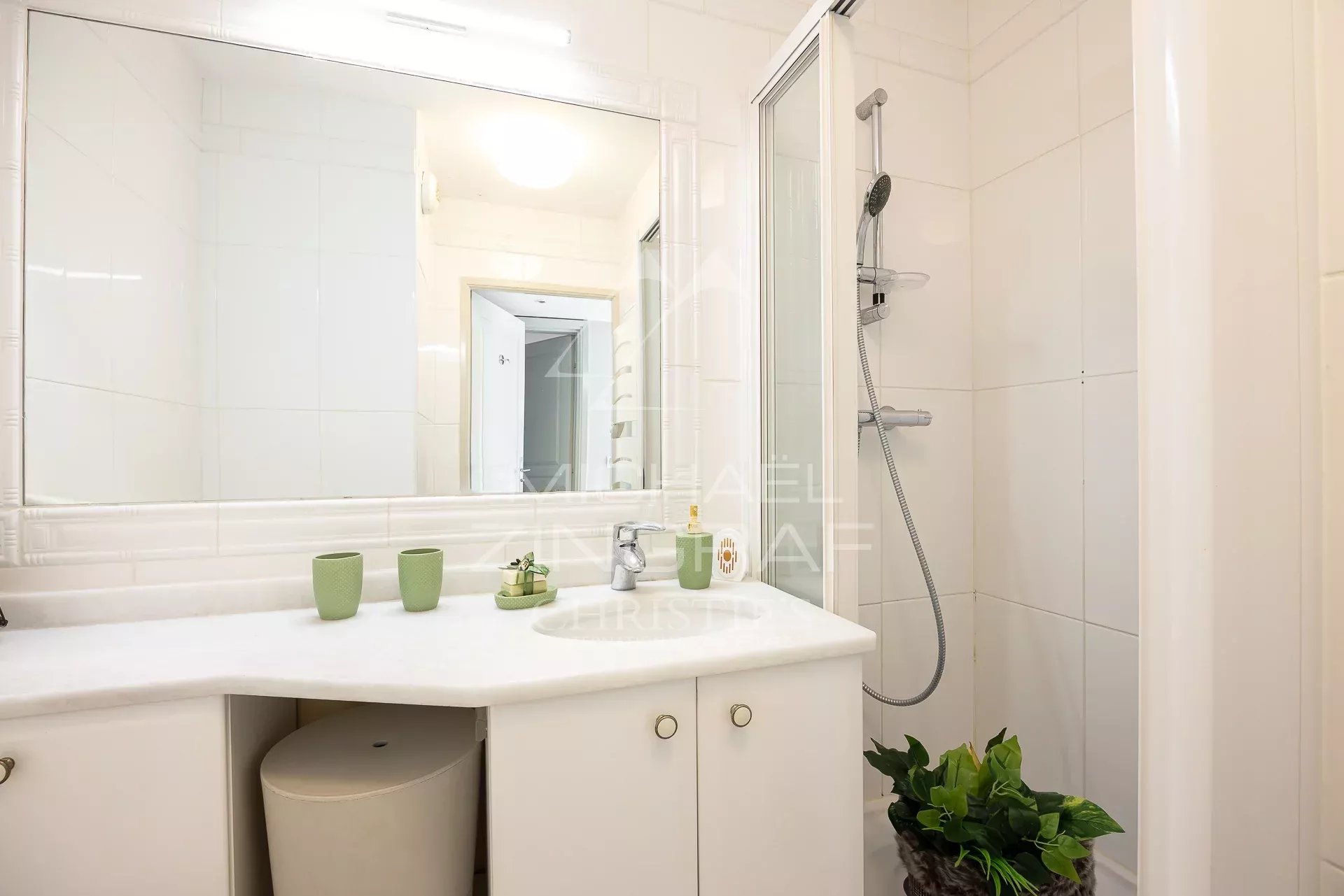 CANNES - PALM BEACH - luxuriöses 5 zimmer