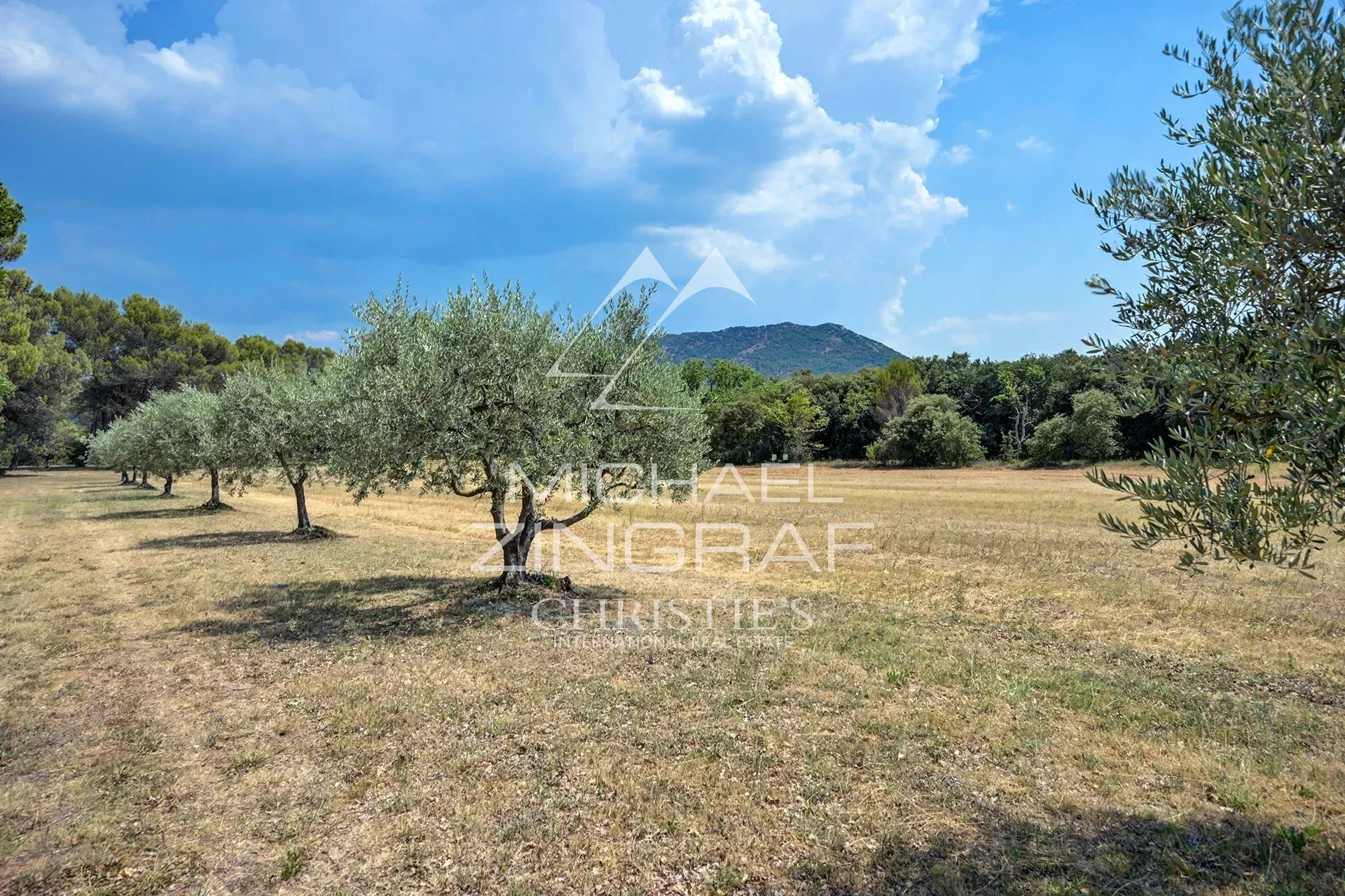 À 30 minutes d'Aix-en-Provence – Authentique bastide du XIXᵉ siècle au cœur d'un domaine de plus de 5 hectares