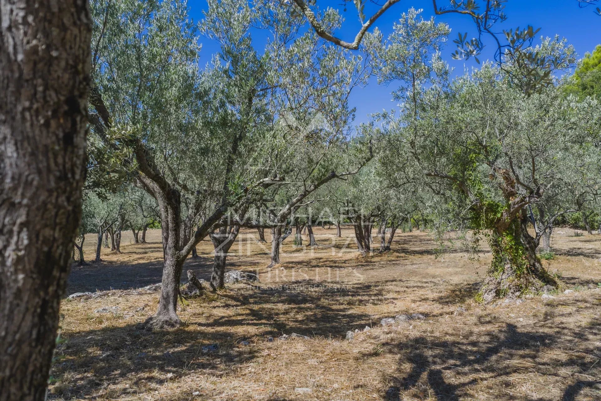 Domaine au coeur de la nature