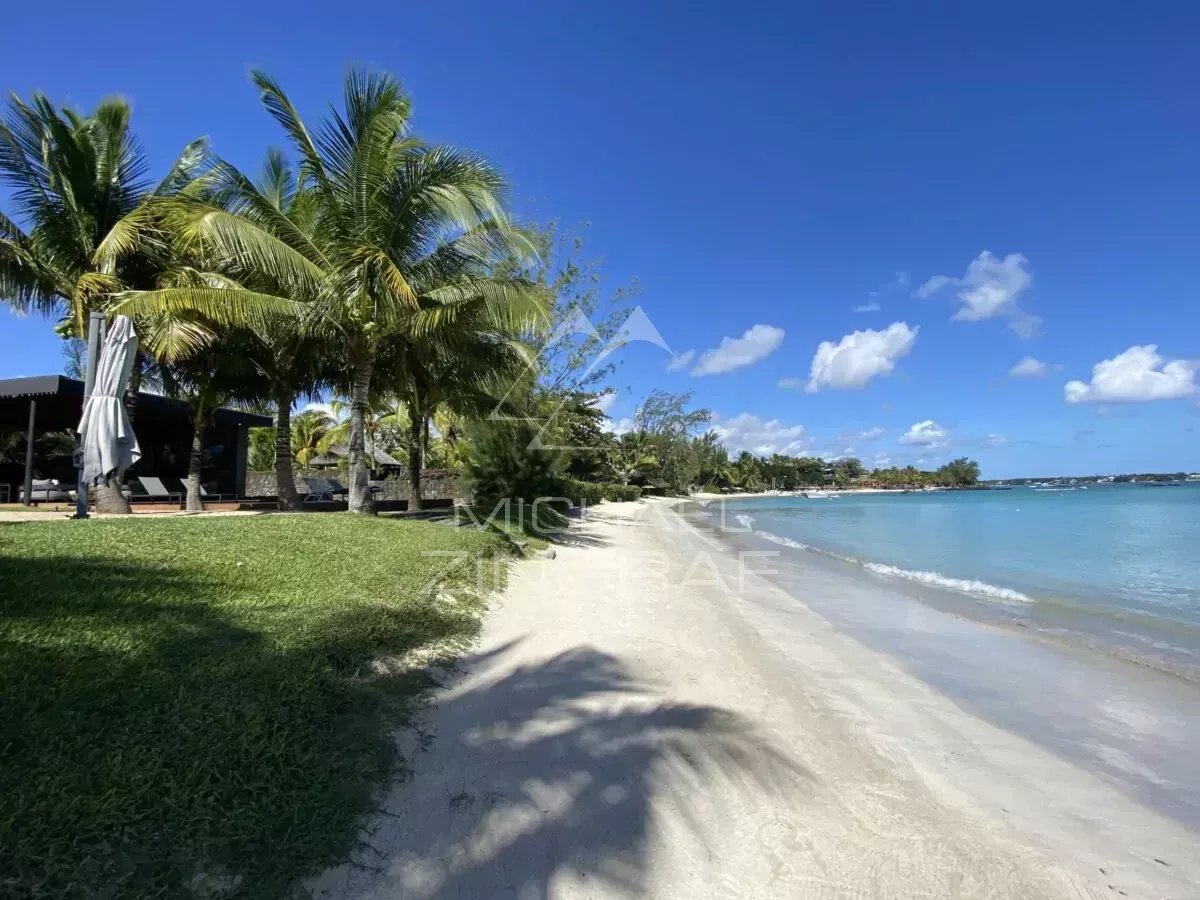 UNIQUE PIEDS DANS L'EAU  – PEREYBERE