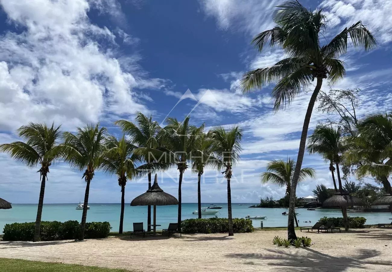 UNIQUE PIEDS DANS L'EAU  – PEREYBERE