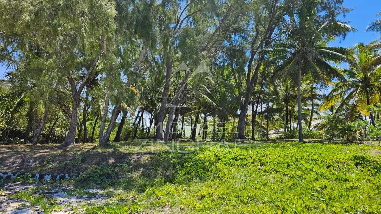 A Rare Freehold Beachfront Sanctuary in Belle Mare