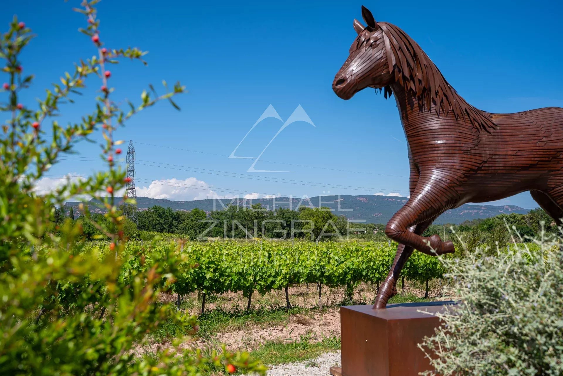 VALLÉE D'ESCLANS- EXPLOITATION VITI_VINICOLE