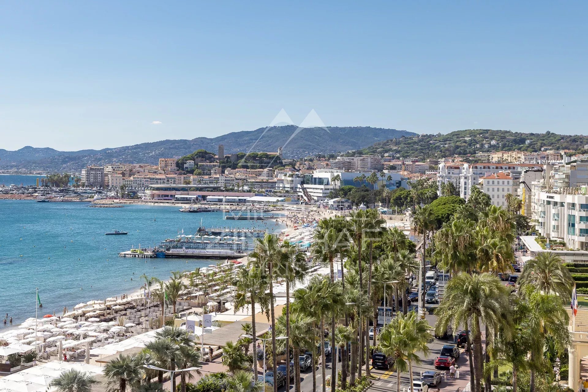 Cannes Croisette – 1-Bedroom Apartment with Panoramic Sea View
