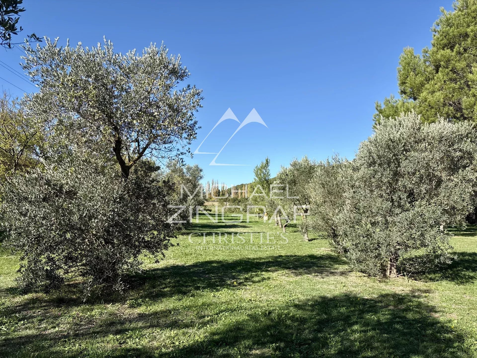 House with over 2 hectares of land