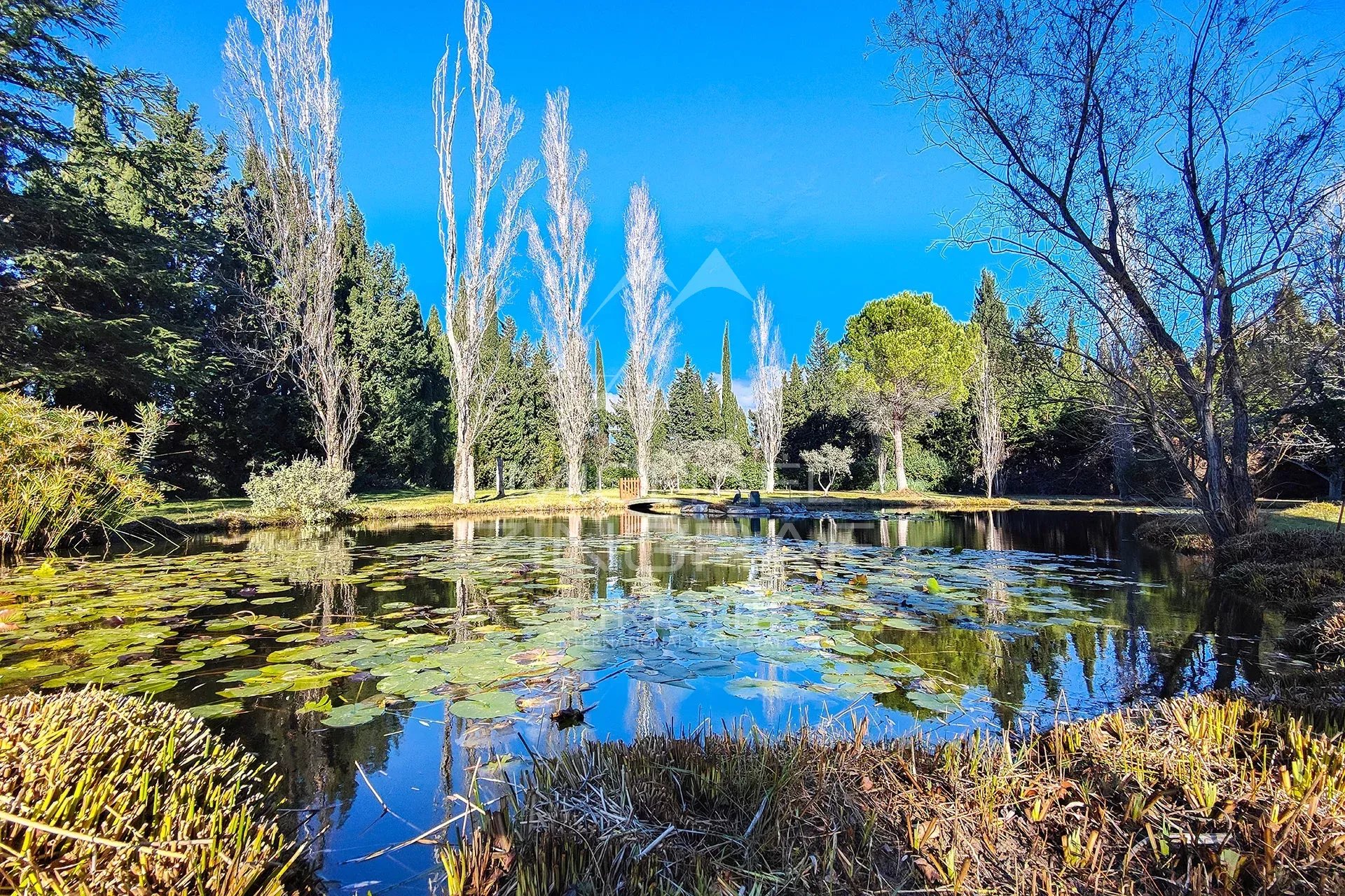 Exceptional property near Maussane les Alpilles