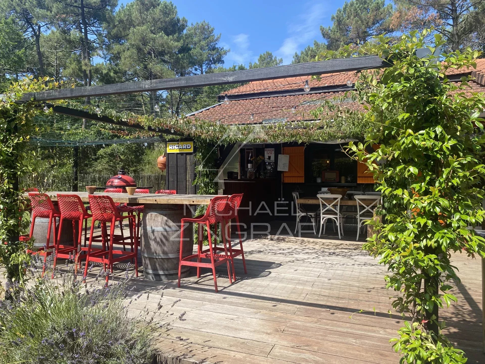 LA TESTE DE BUCH - Cabane de résinier sur 22 hectares de forêt