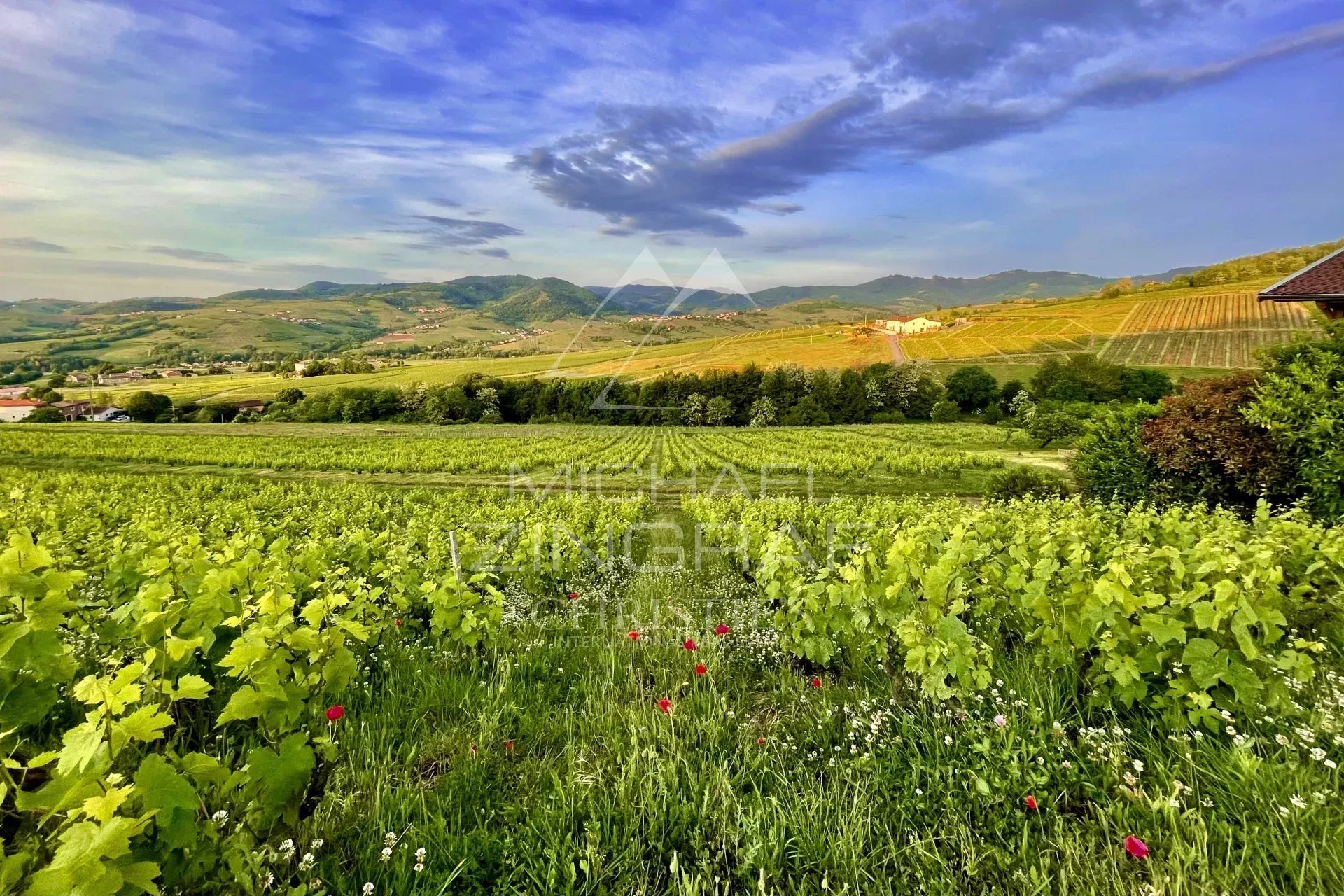RARE- Weingut BEAUJOLAIS