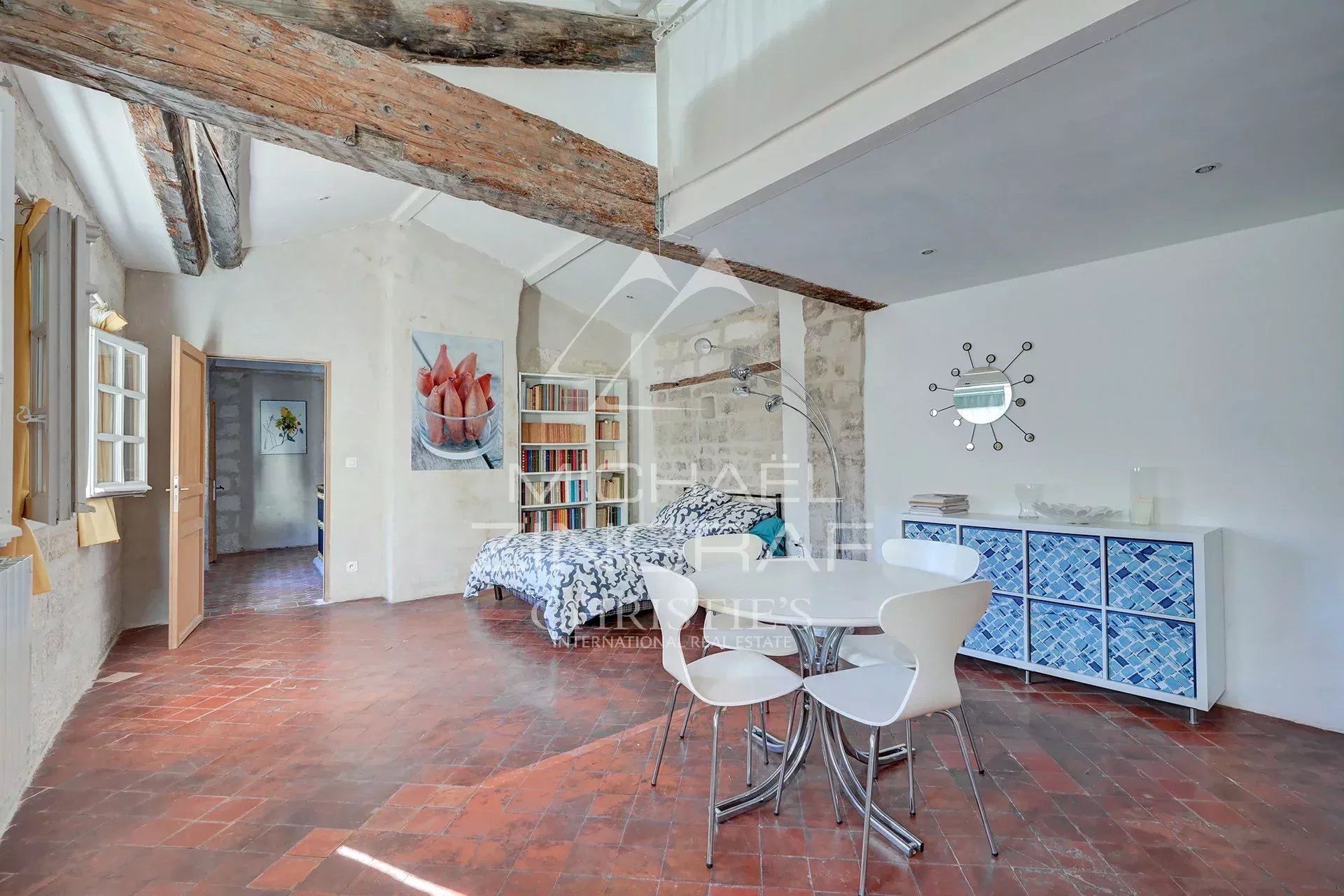 Avignon 17th century mansion - Large apartment with terrace