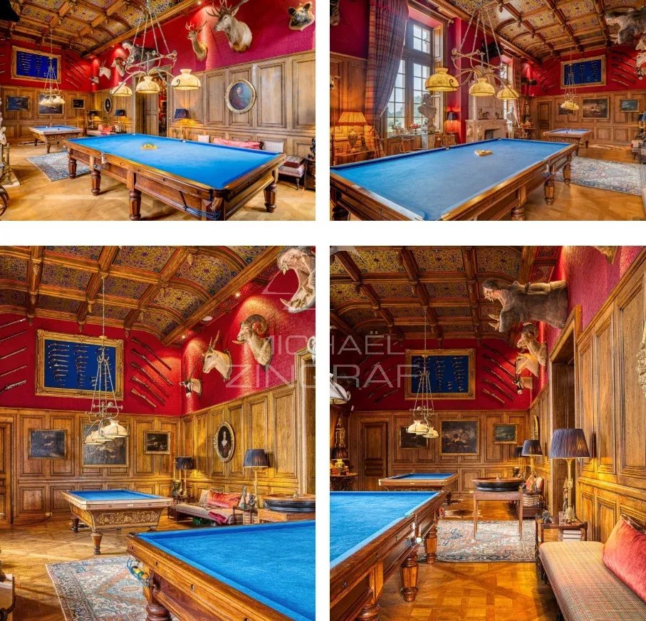 A vendre - Chateau 19ème - Parfait état - 52 hectares